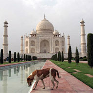 Taj Mahal Inde