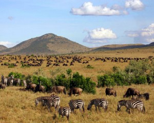 masai-mara-reserve