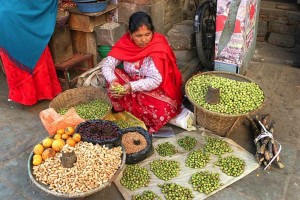 Annapurna trek Népal 2025