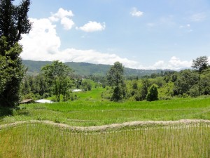 Bénévolat à Anapruna