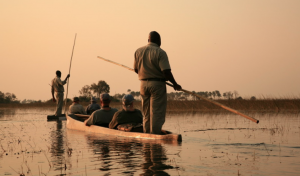 Delta d'Okavango