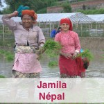 Bénévolat international au Népal - GlobAlong 