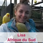 Bénévolat animalier en Afrique du Sud - Globalong