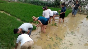 Mission de bénévolat au Vietnam avec Globalong en Asie