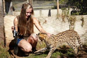 Projet eco-volontaire avec des animaux Globalong