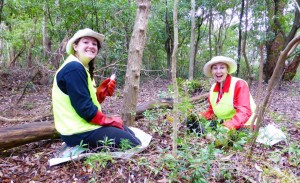 Mision eco-volontaire en Australie pour reboiser