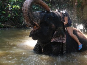 Période de bénévolat au Sri Lanka avec Globalong