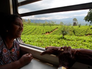 Partez à la découverte du Sri Lanka avec Globalong