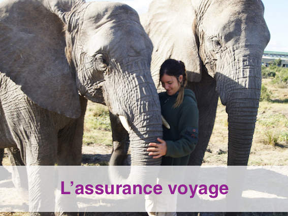 Pourquoi souscrire une assurance voyage humanitaire? Globalong vous explique