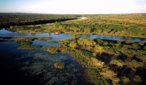 Globalong soutient la journée de l'environnement