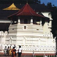 Excursion et visite de temple bouddhiste Globalong
