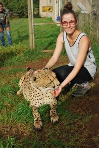 Bénévolat animalier avec les animaux sauvages - GlobAlong 