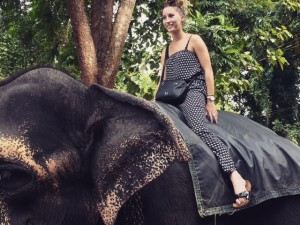 Bénévolat avec les animaux Afrique du Sud 