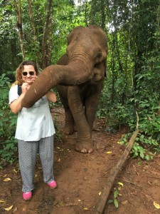 Marcher aux côtes des éléphants - GlobAlong 