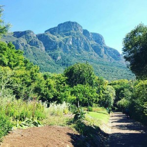 Bénévolat en Afrique du Sud 