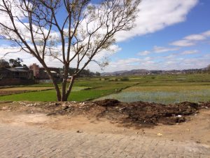 paysages à madagascar - globalong