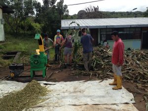 Volontariat environnemental à l'étranger en Equateur