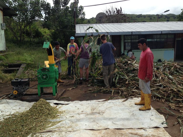 Volontariat environnemental à l'étranger en Equateur