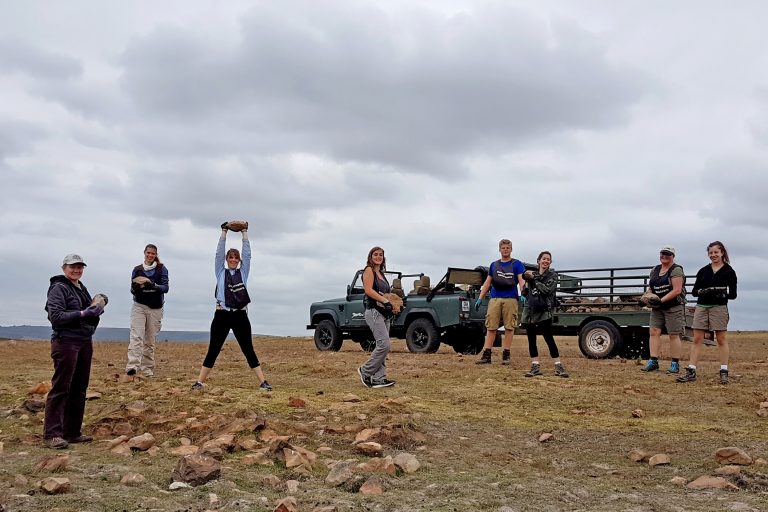 Join an Animal Volunteer Abroad program and enjoy a rewarding experience protecting wildlife around the world.
