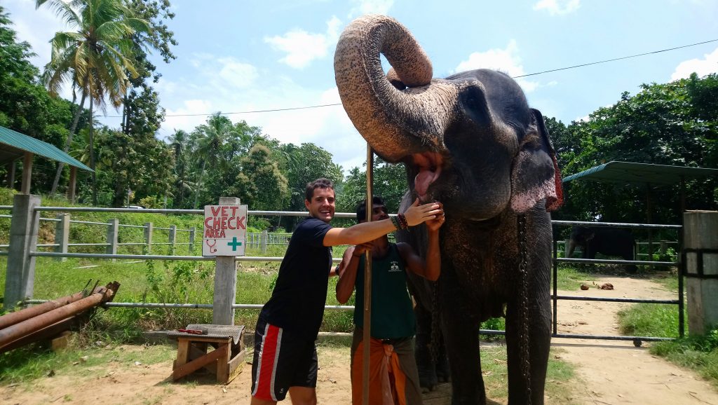 Mission humanitaire animaux