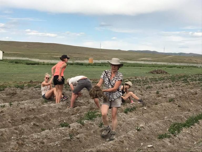 Volontariat en Mongolie