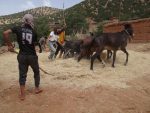 Mission de bénévolat humanitaire pour les Suisses