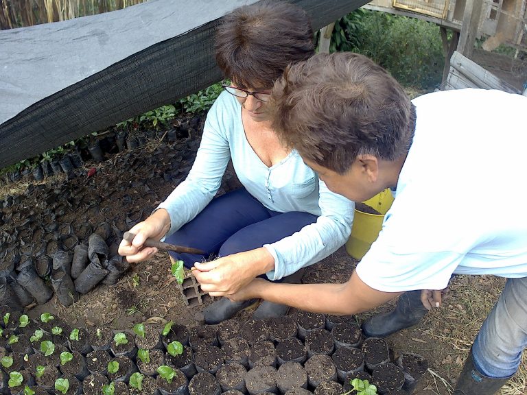volontariat agricole à l'étranger