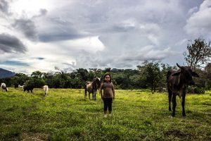 Volontariat international - Digital nomad