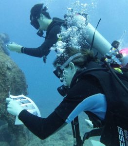 Bénévoles - mission récifs coralliens