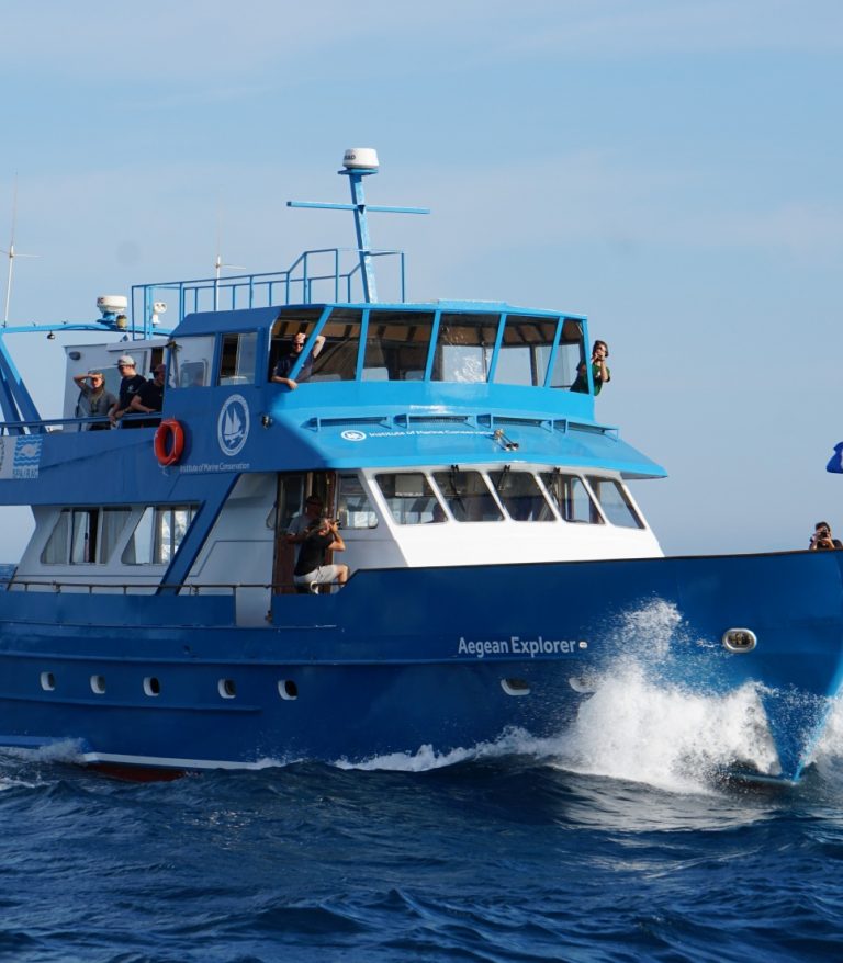 conservation marine en mer Égée