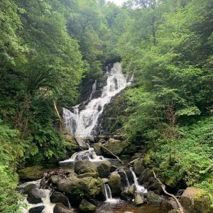 Volontariat international