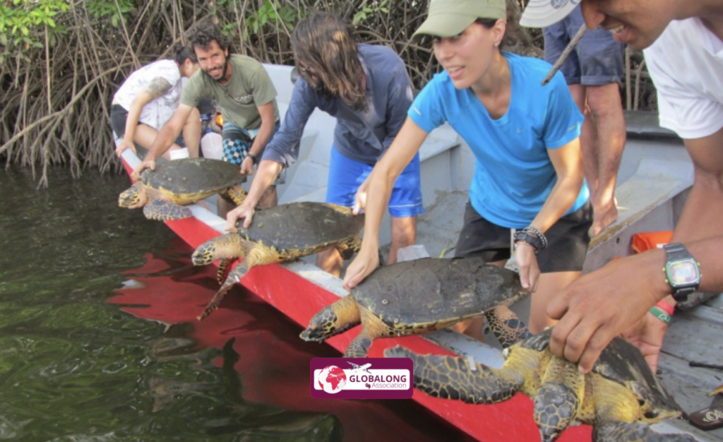 Mission humanitaire animaux
