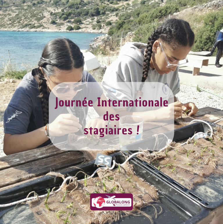 Journée Internationale des Stagiaires