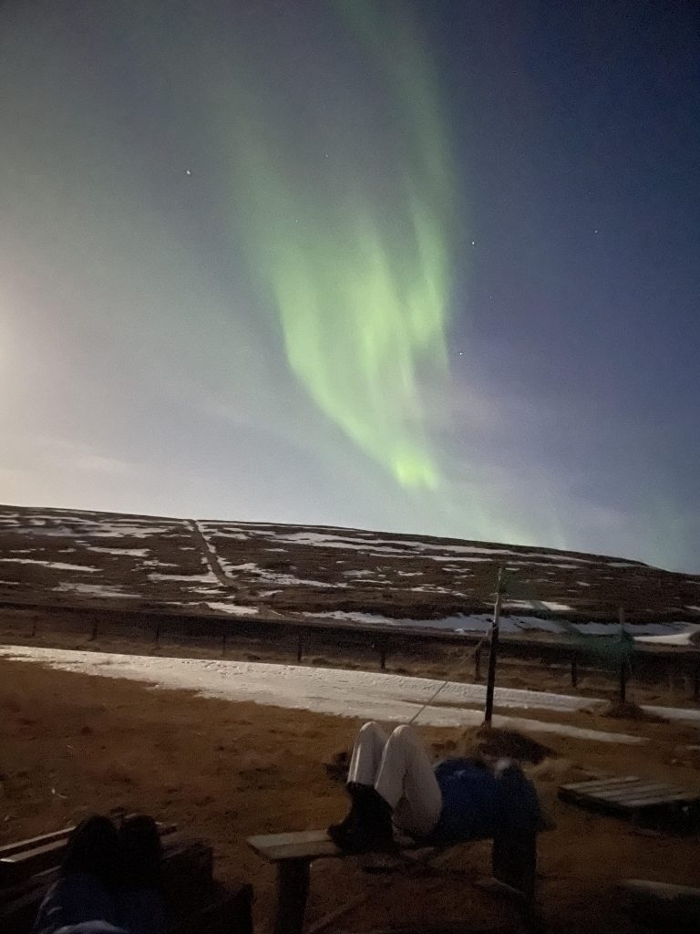 Volontariat en Islande