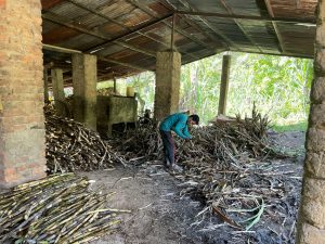 Stage humanitaire en Colombie 