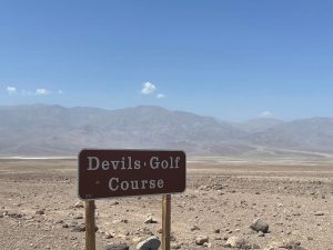 Ecovolontariat en Californie