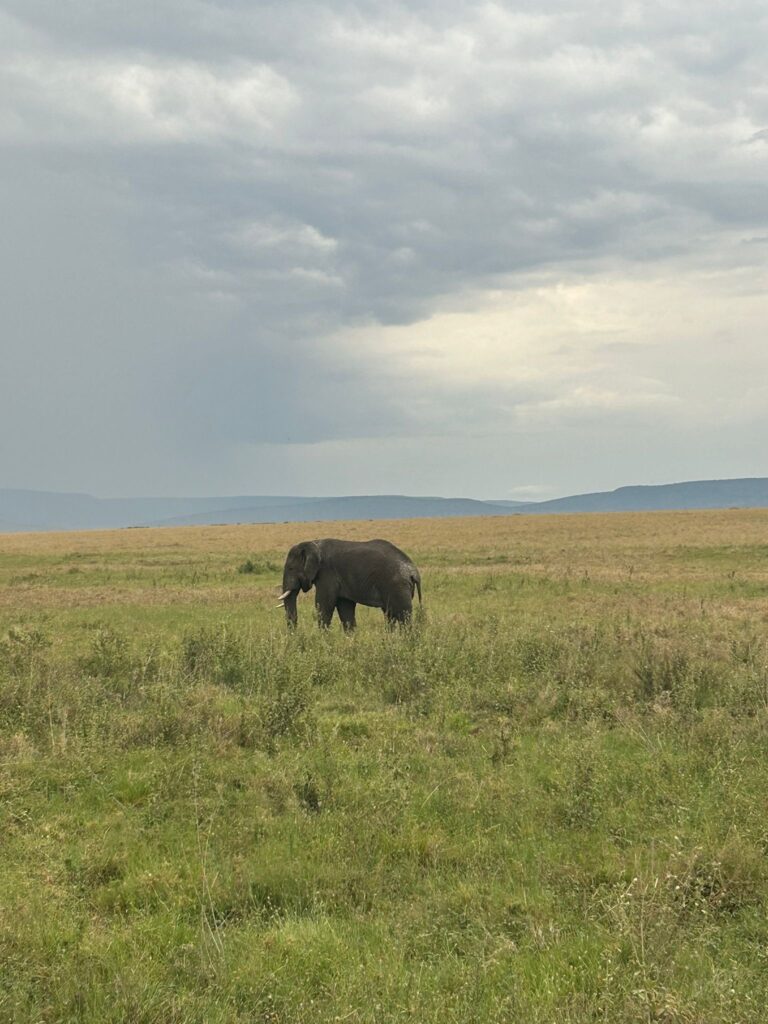 impact du volontariat