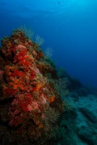 Protection mer Egée