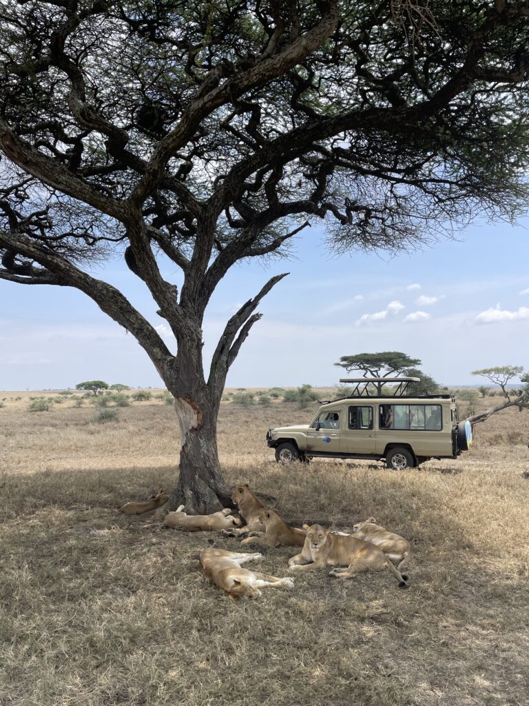 Comment partir en mission utile et en toute sécurité ?