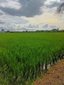 Sylvie en Inde du Sud