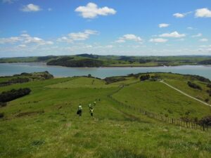Eco volontariat Nouvelle Zélande