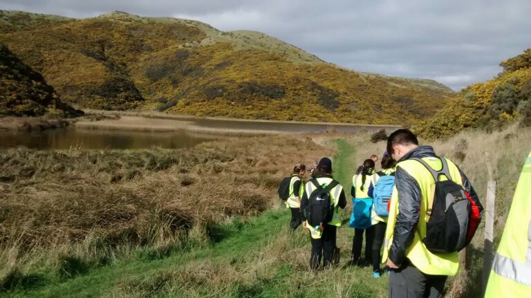 Eco volontariat Nouvelle Zélande - bénévoles en action