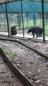 Mission en Thaïlande