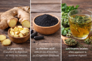 Le gingembre : il soutient la digestion et limite les nausées. Le charbon actif : utile en cas d’inconfort ou d’ingestion douteuse. Les tisanes locales : elles apaisent le système digestif.