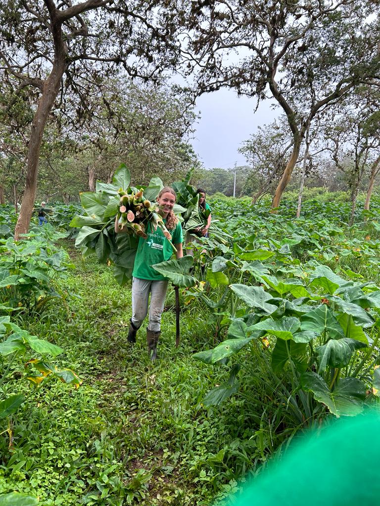 Bénévole écovolontariat - Ai-je le profil pour partir en mission