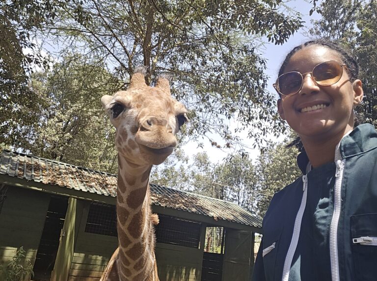 Mission humanitaire quand n travaille - bénévole mission animaux