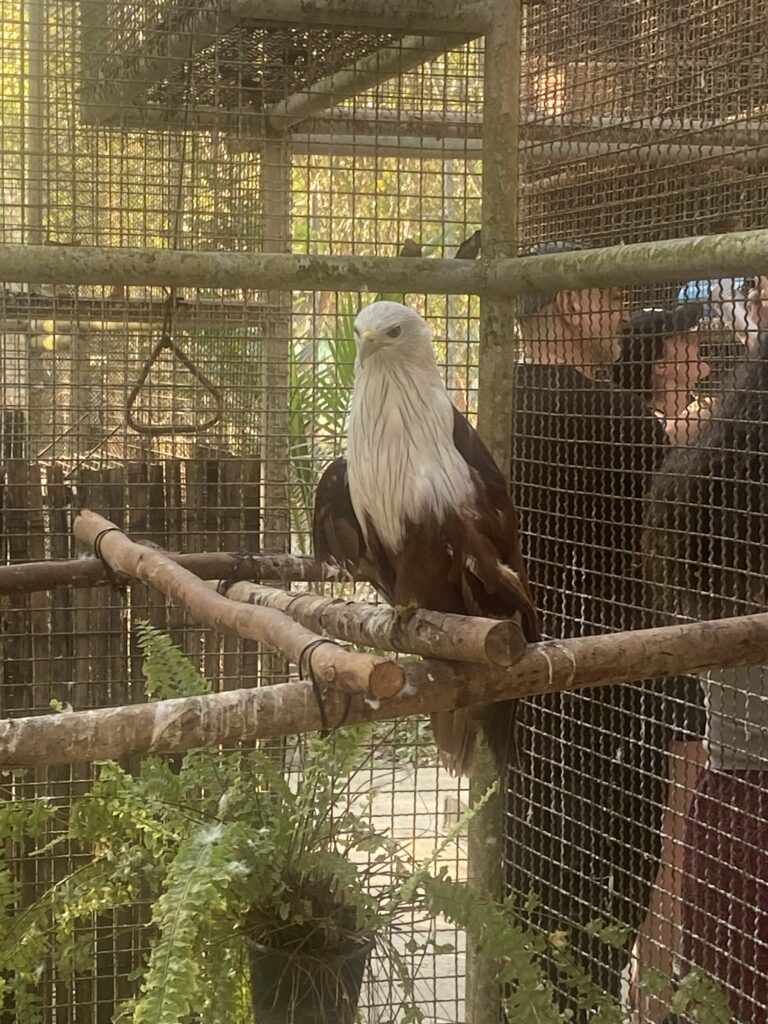Mission animalière - protection de la faune sauvage