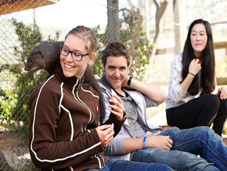 Mission animalière pour étudiant