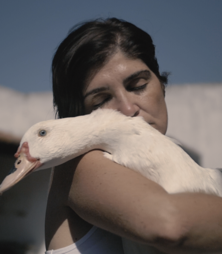 mission animalière en refuge - Mission au Portugal