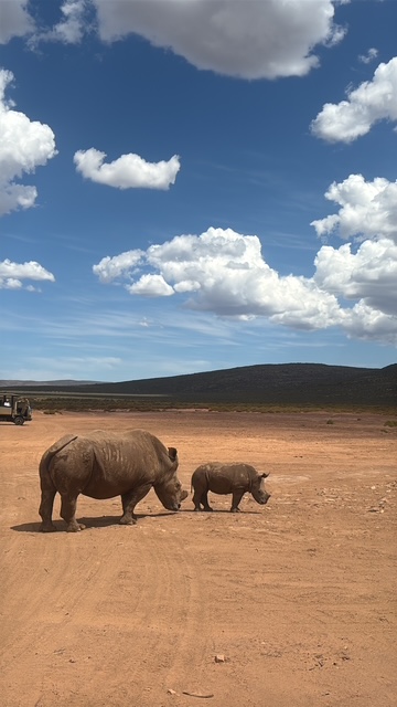 mission animalière sans diplôme - Mission en Afrique